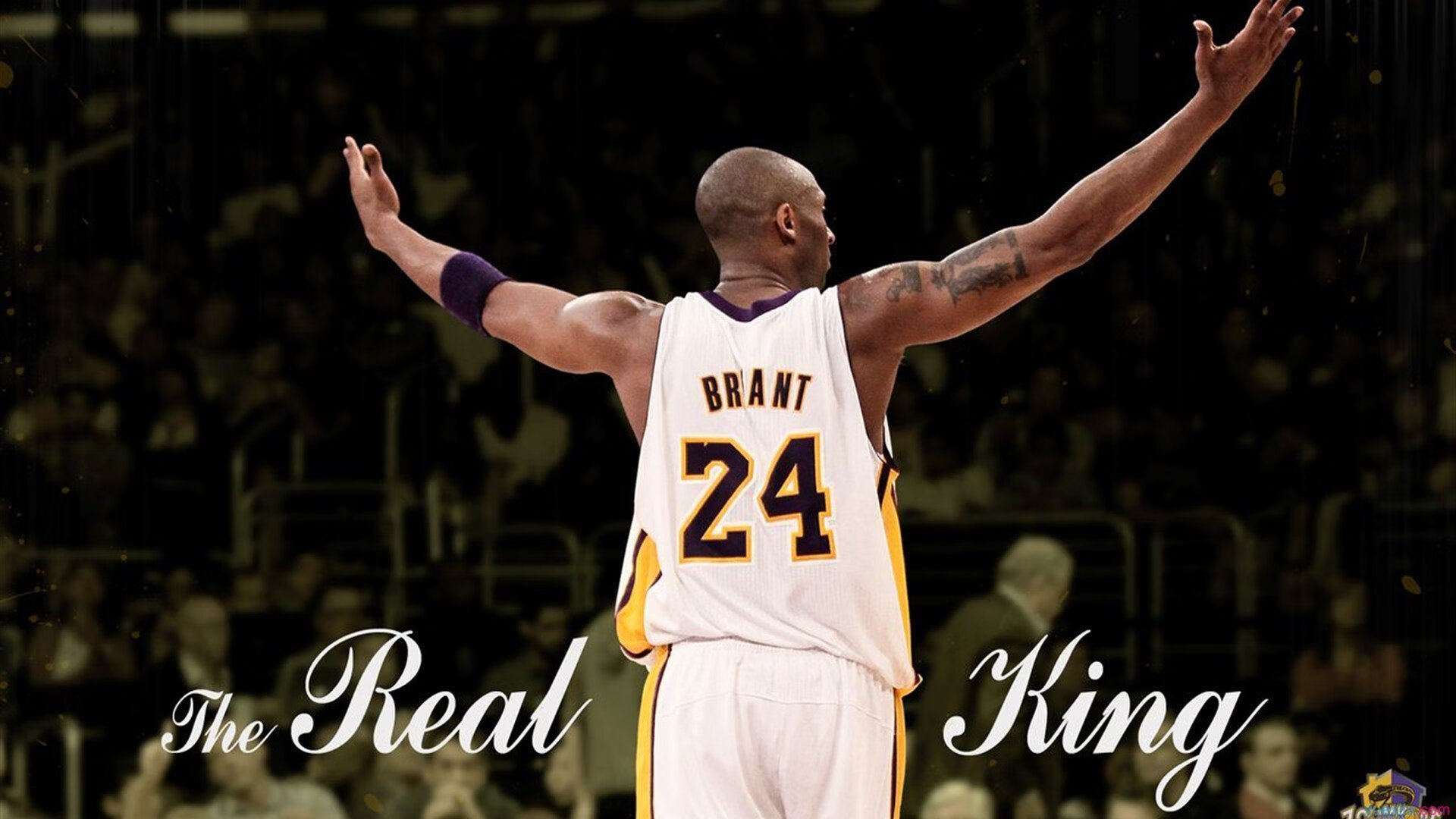 九游网-“彼得森闪耀南非羚羊队，成为球队的重要支柱”